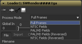 Image:F61_FrameFormat_Fields.png