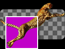 Image:Icon_ChromaKeyer.png