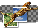Image:Icon_DifferentKey.png