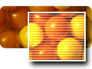 Image:Icon_Fields.png