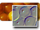 Image:Icon_Filter.png