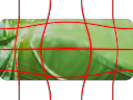 Image:Icon_GridWarp.png