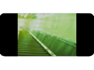 Image:Icon_Letterbox.png