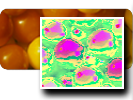 Image:Icon_PseudoColor.png