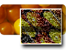 Image:Icon_TV.png