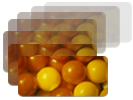 Image:Icon_Trails.png
