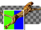Image:Icon_UltraKey.png