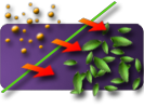 Image:Icon_pChangeStyle.png
