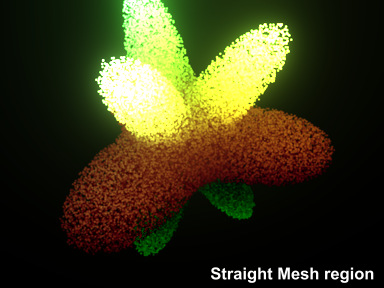 File:SoftRegions_StraightMeshRegion_v02.jpg