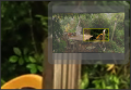 Thumbnail for version as of 09:51, 21 January 2011