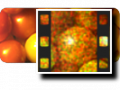 Thumbnail for version as of 09:28, 18 August 2010