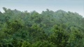 Thumbnail for version as of 17:51, 22 September 2008
