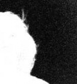 Thumbnail for version as of 05:02, 15 November 2007