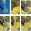 Thumbnail for version as of 02:44, 15 November 2007