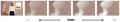 Thumbnail for version as of 02:43, 15 November 2007